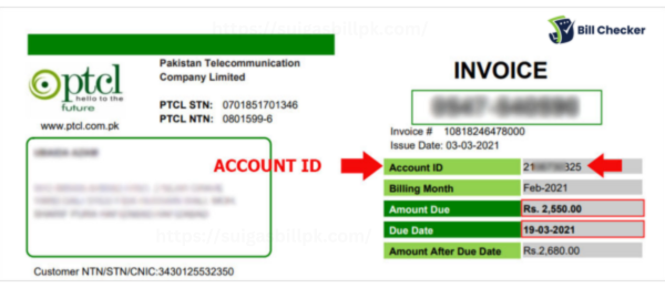 Confirmation of Payment